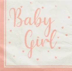Baby girl lautasliinat 16kpl