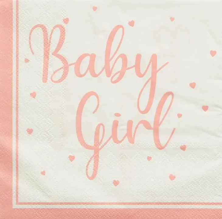 Baby girl lautasliinat 16kpl