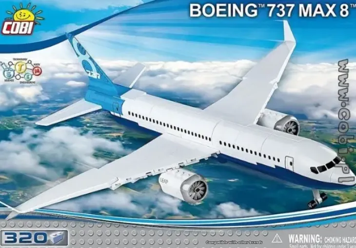 Boeing 737 max 8 315 osaa