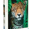 Clementoni jaguaari 500 p