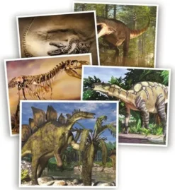 Dinosaurusten ihmeellinen maailma -visa