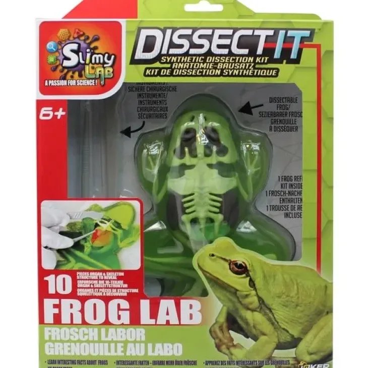 Dissect it sammakko