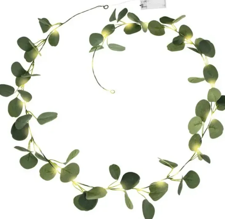 Eucalyptus nauha led 2m