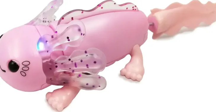 Fingerlings baby axolotl alix & pool