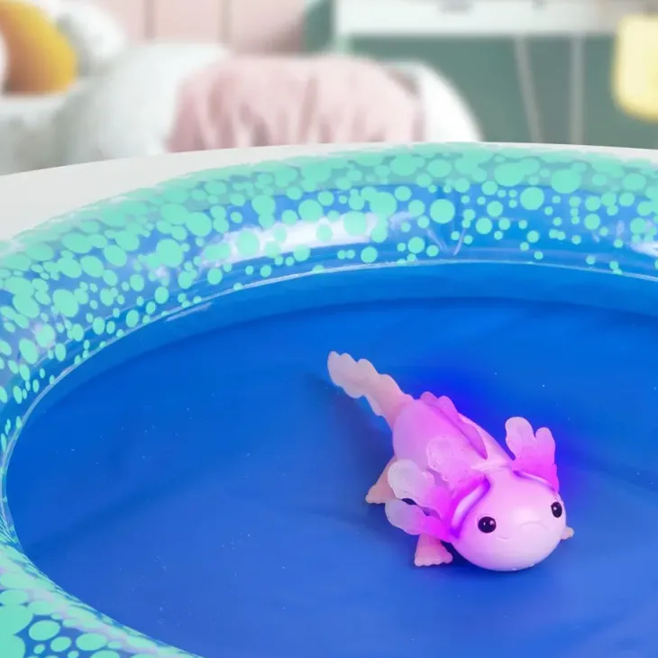Fingerlings baby axolotl alix & pool