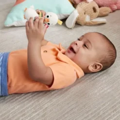 Fisher price clack & quack hanhi