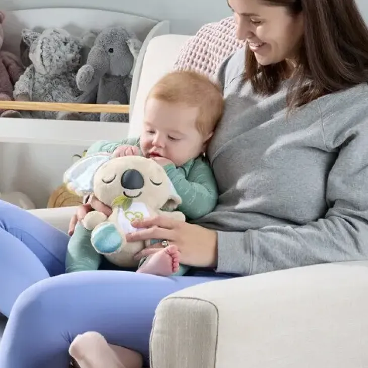 Fisher price on the go koala