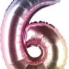 Foliopallo numero 6 rainbow 29 cm