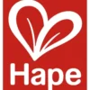 Hape hiekkamuotit meri