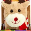 Happy pets playful pikku poro