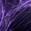 Hämähäkin seitti violetti