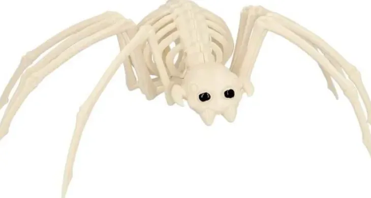 Hämähäkki luuranko 35 cm
