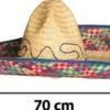 Iso sombrero