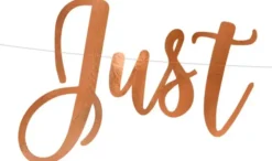 Just married viiri ruusukulta 20x77