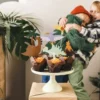 Kakkukoriste dinosaurus 6kpl 8-12cm