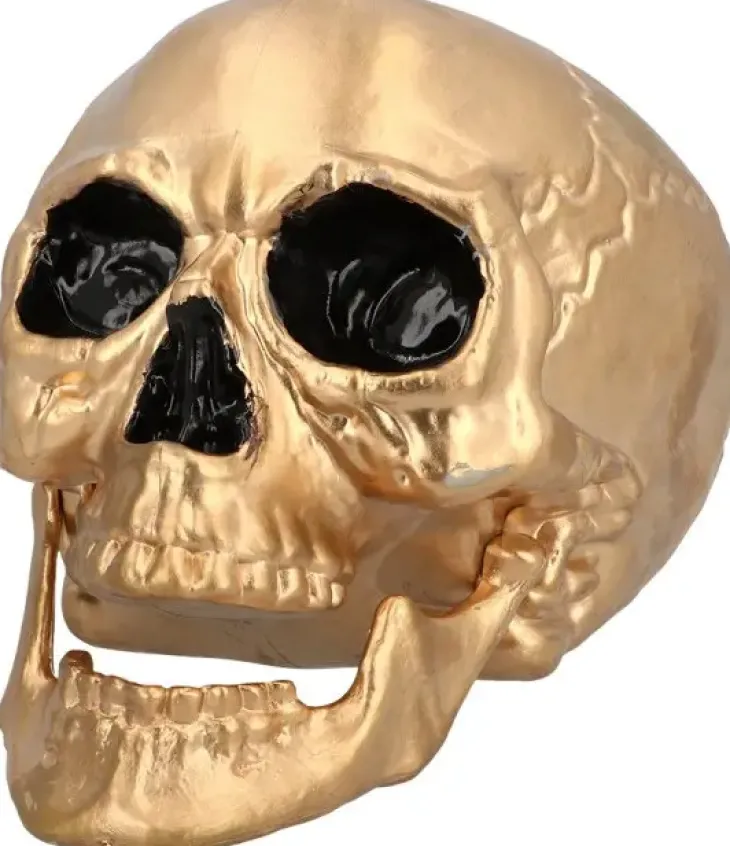 Kullanvärinen pääkallo liikkuva leuka
