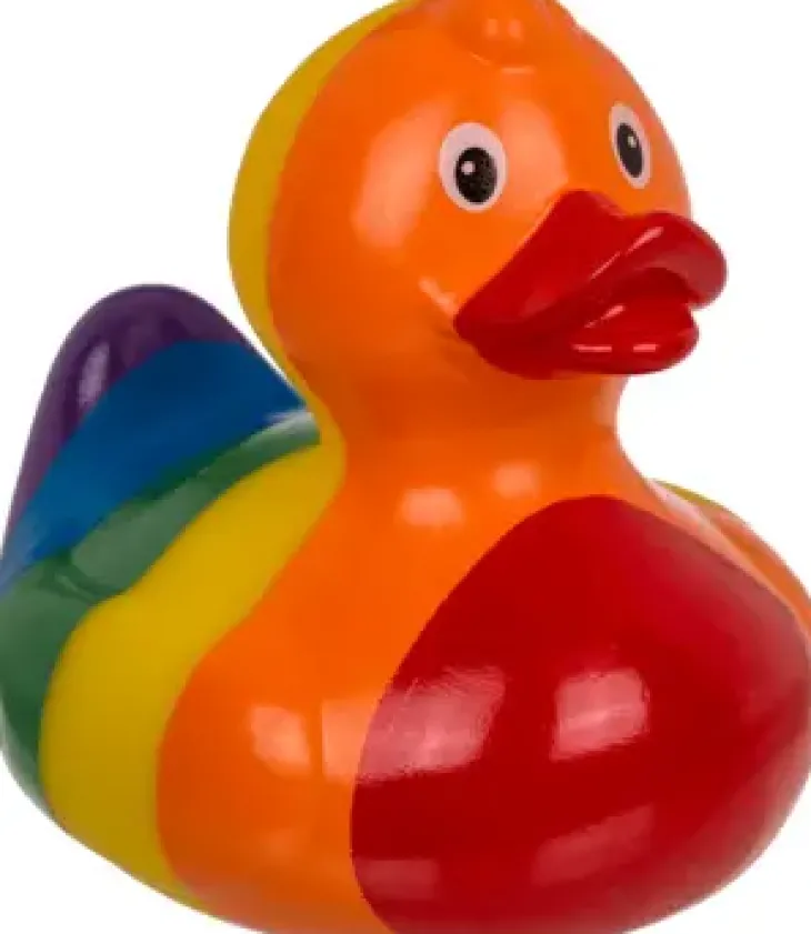 Kumiankka sateenkaari