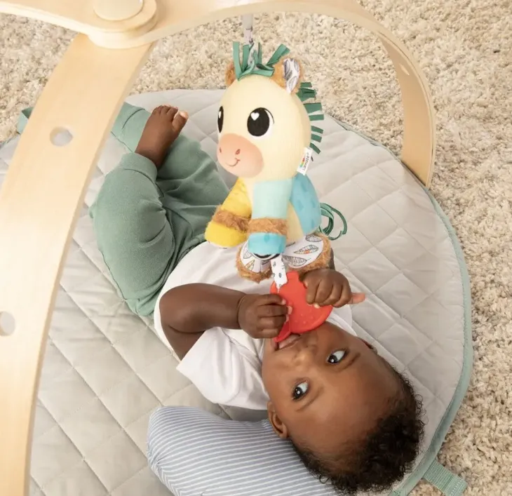 Lamaze carson hevonen clip & go