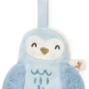 Little dutch tuttipidike pöllö