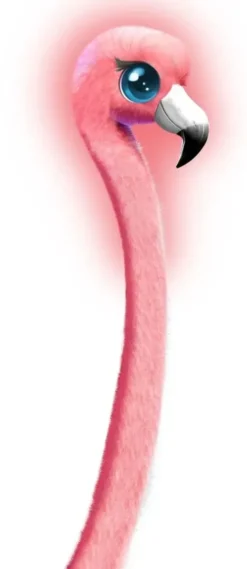 Little long legs 167 cm - bubblemingo