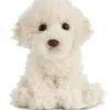 Living nature labradoodle pentu