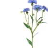 4living ruiskukka oksa 61,5 cm