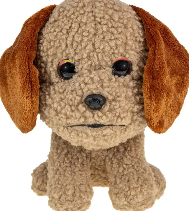 Lumo stars labradoodle poppy keskikoko