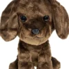 Lumo stars labradorinnoutaja choco iso