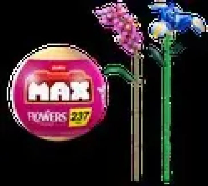 Max-max premium garden long flowers