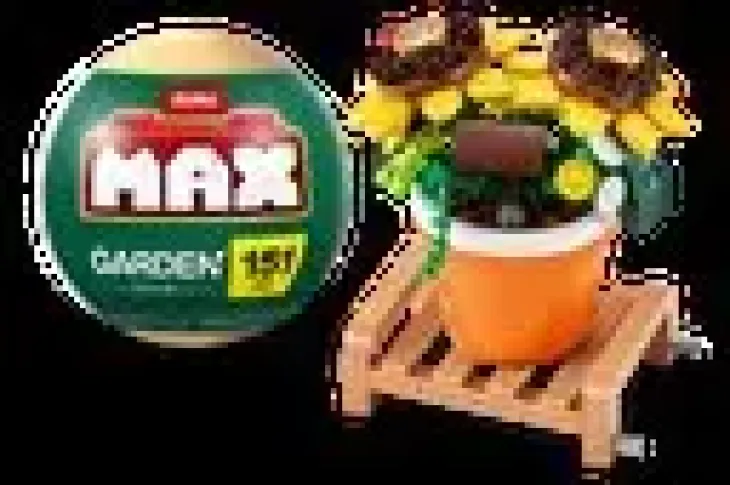 Max-max premium garden pot plants