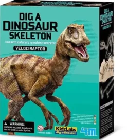 4m velociraptor skeleton