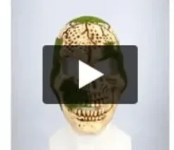 Naamari suokallo