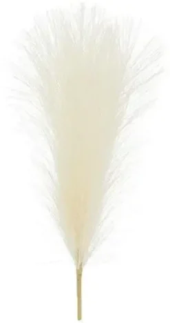 Pampaheinä 45cm
