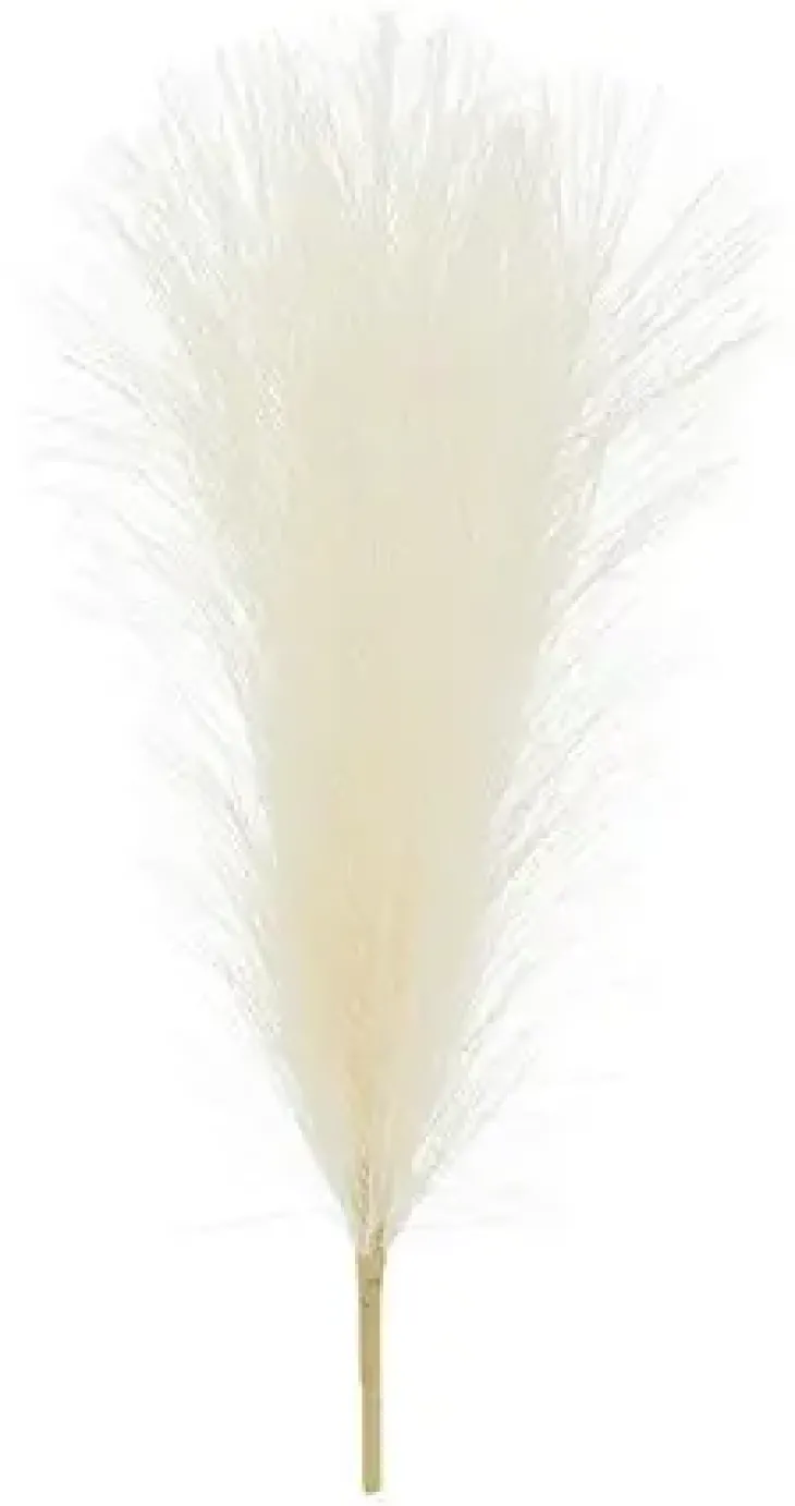 Pampaheinä 45cm