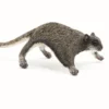 Papo liito-orava