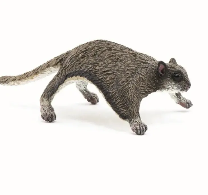 Papo liito-orava