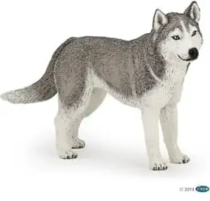 Papo siperian husky
