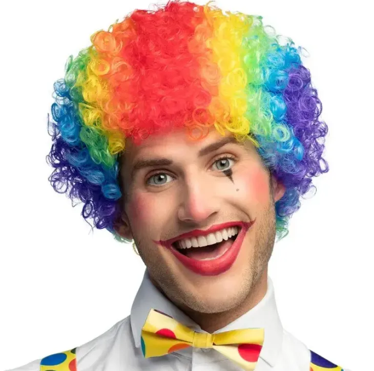 Peruukki clown curly multicoloured