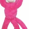 Pink squirrel monkey