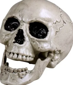 Pääkallo koriste