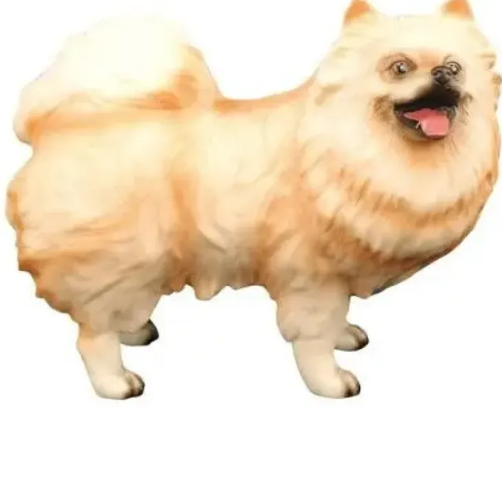 Pomeranian