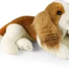 Rappa kingcharlesin spanieli 40cm
