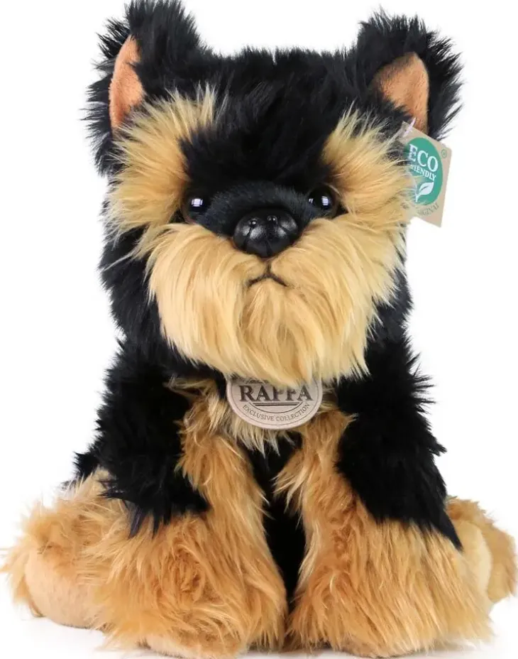 Rappa terrieri 30cm