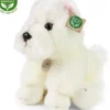 Rappa westi terrieri 30cm