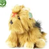Rappa yorkshirenterrieri 30 cm
