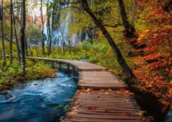 Ravensburger autumnal wood trail 1000p