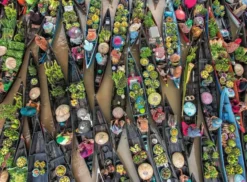 Ravensburger floating market indones 500
