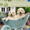 Ravensburger golden retriever 200p