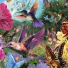 Ravensburger hummingbirds 200p
