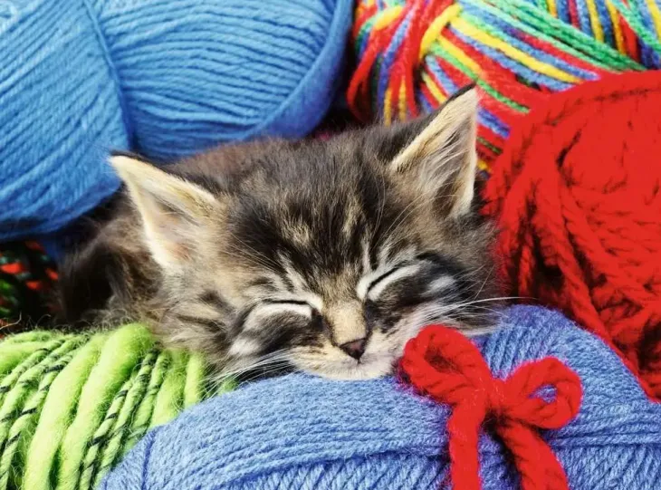 Ravensburger wool cat 100p